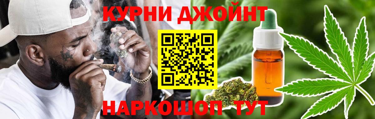 Марихуана сатива Кыштым